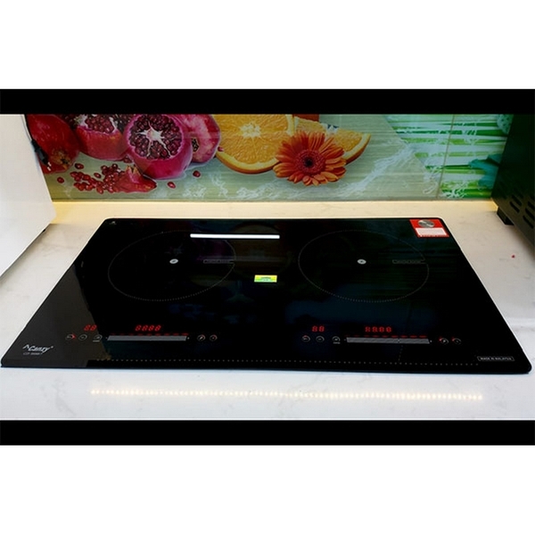 Bếp Từ Canzy CZI 9987