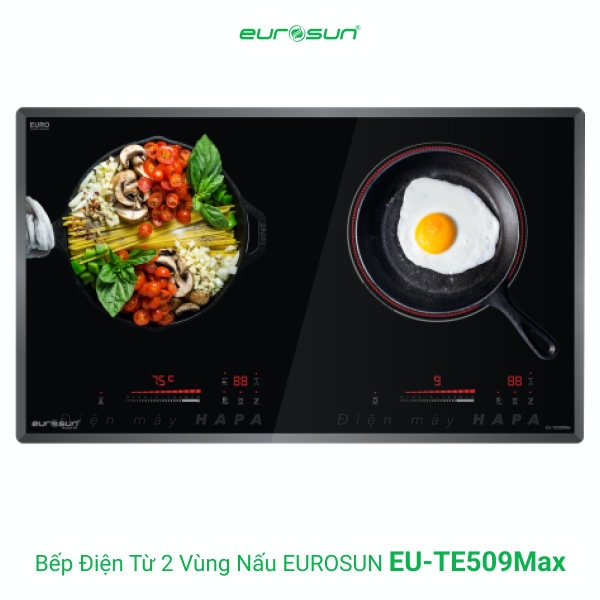 Bếp Điện Từ EUROSUN EU-TE509MAX 2 Vùng Nấu - Nhập Khẩu Malaysia