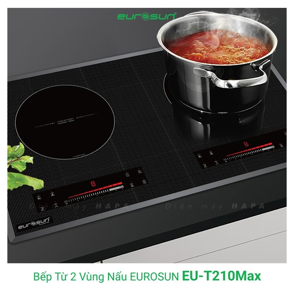 Bếp Từ Eurosun EU-T210MAX 2 Vùng Nấu - Nhập Khẩu Malaysia