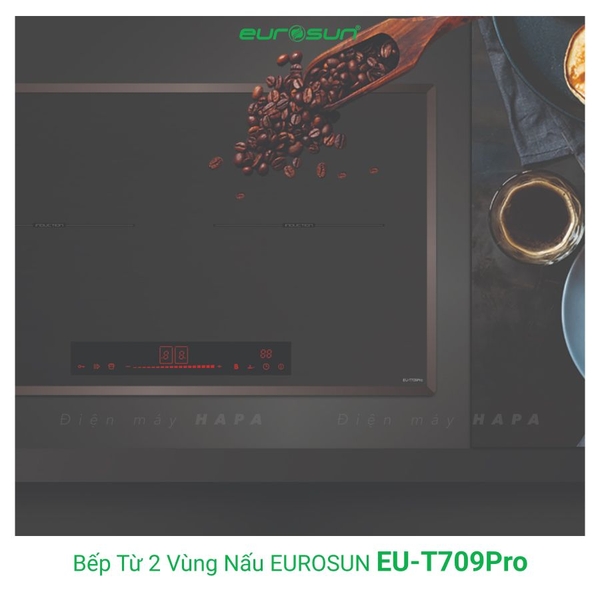 Bếp Từ EUROSUN EU-T709PRO 2 Vùng Nấu, Nhập Khẩu Malaysia
