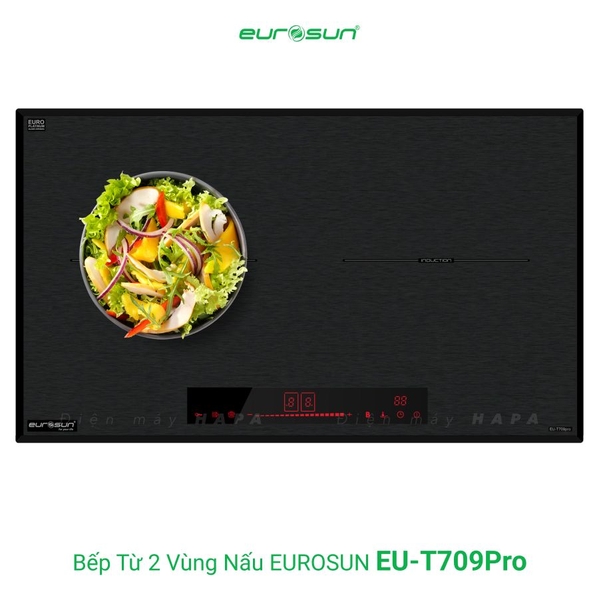 Bếp Từ EUROSUN EU-T709PRO 2 Vùng Nấu, Nhập Khẩu Malaysia