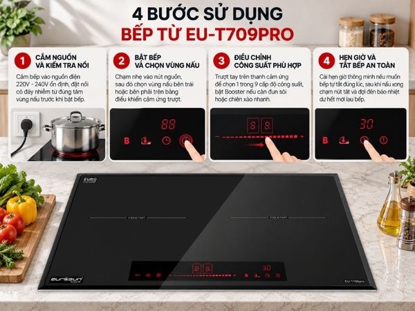 Bếp Từ EUROSUN EU-T709PRO 2 Vùng Nấu, Nhập Khẩu Malaysia