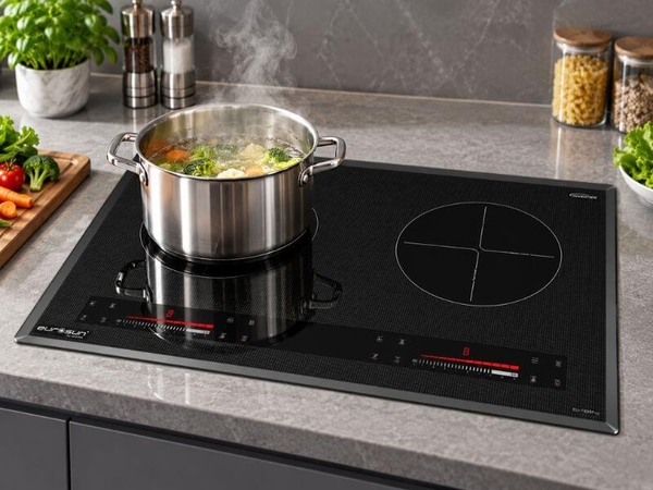 Bếp Từ EUROSUN EU-T99PRO 2 Vùng Nấu - Nhập Khẩu Malaysia