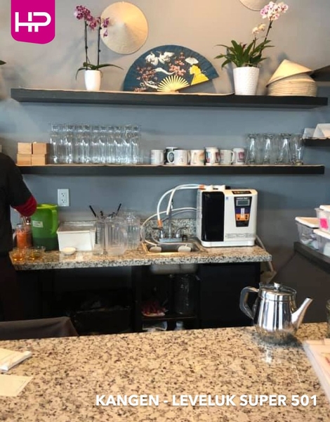 Máy Điện Giải ION Kiềm Kangen LEVELUK SUPER 501 - Nhập Khẩu Nhật Bản