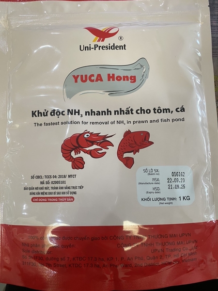 up-yuca-hong