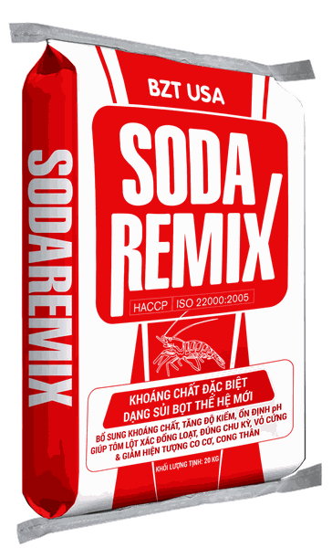 bzt-sodaremix-20kg