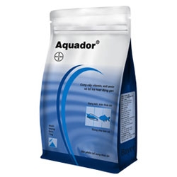 aquador-giai-doc-va-phuc-hoi-chuc-nang-gan-tuy