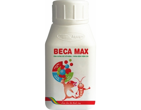 vt-beca-max-500g