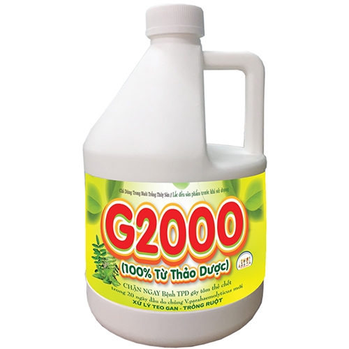 nm-g2000-2l