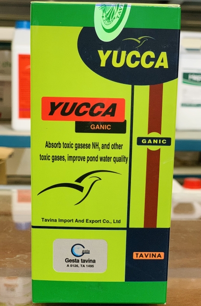 yucca-ganic