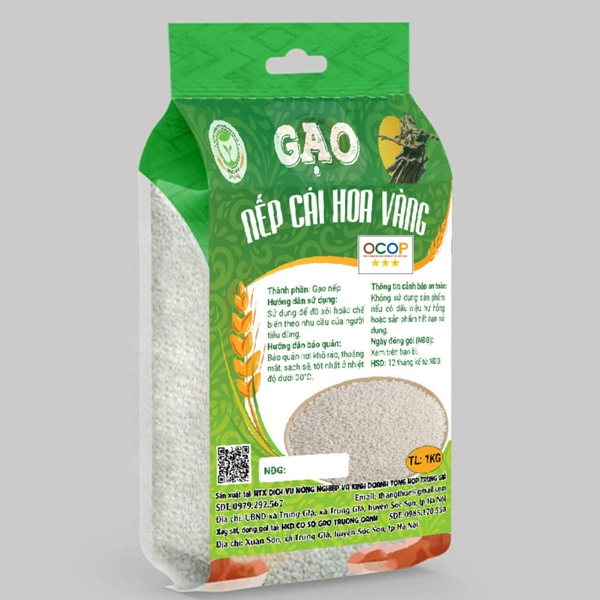 Gạo nếp cái Hoa vàng