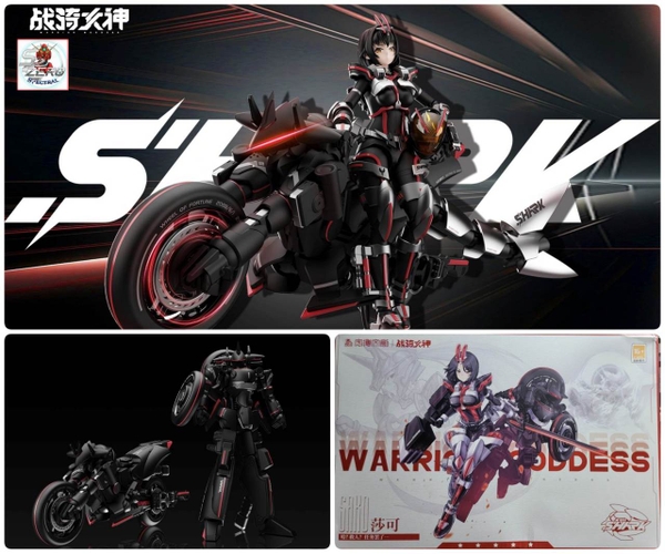 Mô hình figure 1/12 Battle Rider Warrior Goddess Sako Cyber Shark War Riding Goddess Shake
