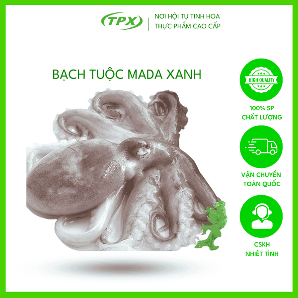 BẠCH TUỘC MADA XANH SIZE 12-18 CON