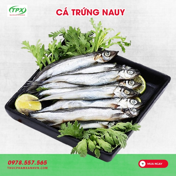 CÁ TRỨNG NAUY