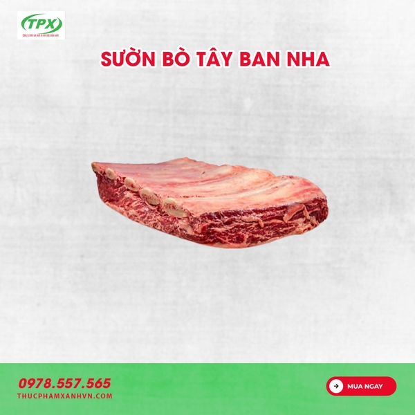 SƯỜN BÒ TÂY BAN NHA