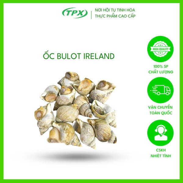 ỐC BULOT IRELAND SIZE 50/80