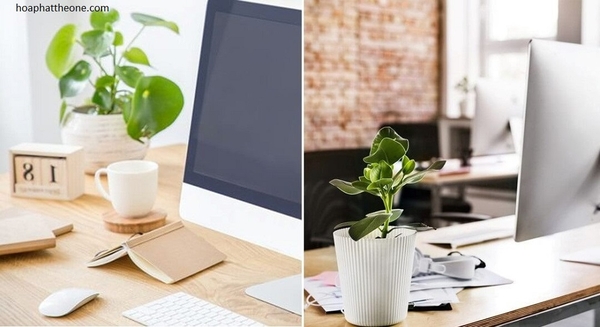 Tìm Hiểu Phong Thủy Bàn Làm Việc Theo Tuổi, Theo Mệnh