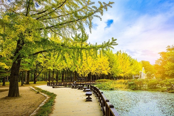[2024] KHÁM PHÁ XỨ SỞ KIM CHI HÀN QUỐC 5N4Đ VNA SEOUL – NAMI – SEOUL GRAND PARK 