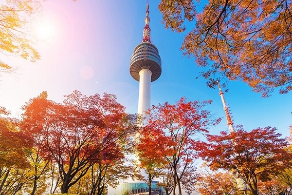[2024] HÀN QUỐC 5N4Đ 7C SEOUL – ĐẢO NAMI – CÔNG VIÊN EVERLAND...