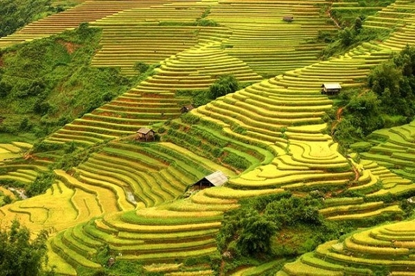 3N2Đ HƯNG YÊN - HÀ NỘI – ĐÈO KHAU PHẠ - TÚ LỆ - TRẠM TẤU