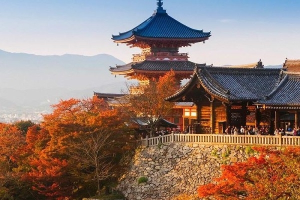 [2024] NHẬT BẢN MÙA LÁ ĐỎ 6N5Đ VJ OSAKA  – NARA - KYOTO - NÚI PHÚ SĨ - TOKYO