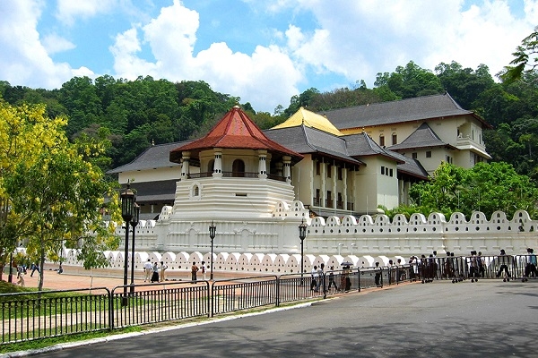 [2024] KHÁM PHÁ SRI LANKA 8N7Đ MH HÒN ĐẢO NGỌC ẤN ĐỘ DƯƠNG