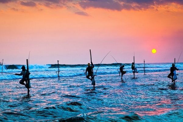 [2025] KHÁM PHÁ SRI LANKA HÒN NGỌC ẤN ĐỘ DƯƠNG 6N5Đ MH