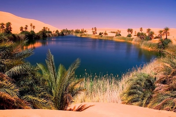 [2025] AI CẬP 9N8Đ QR CAIRO - BAHARIYA - LUXOR - BIỂN ĐỎ