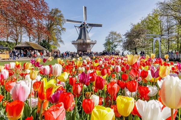 [2026] THƯỞNG THỨC LỄ HỘI HOA KEUKENHOF 9N8Đ VN ĐỨC–HÀ LAN–BỈ–LUXEMBOURG–PHÁP