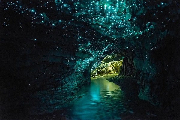[2026] KHÁM PHÁ TRỌN VẸN 2 ĐẢO NEW ZEALAND 10N9Đ MH