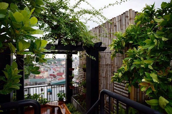 [Chip’s House] Homestay Ba Đình - Hà Nội