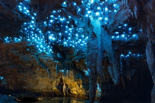 [2025] THƯỞNG NGOẠN MÙA THU 10N9Đ VNA ÚC - NEW ZEALAND