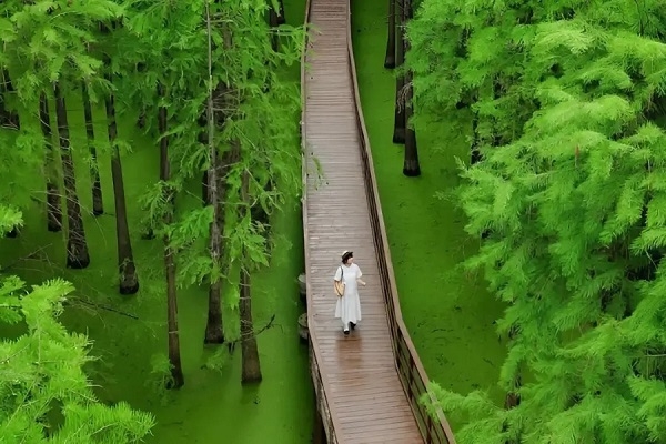 [2026] DU NGOẠN TRUNG QUỐC 5N4Đ MU THƯỢNG HẢI-TÂY Ô TRẤN–HÀNG CHÂU–HỒ THANH SƠN