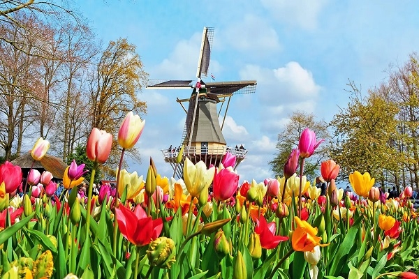 [2025] THƯỞNG THỨC LỄ HỘI HOA KEUKENHOF 10N9Đ VNA ĐỨC–THUỴ SĨ-PHÁP–BỈ-HÀ LAN-ĐỨC
