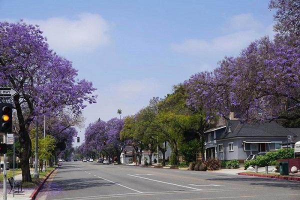 [2025] KHÁM PHÁ ĐÔNG TÂY HOA KỲ 12N11Đ EVA PHƯỢNG TÍM NỞ RỰC TRỜI CALI