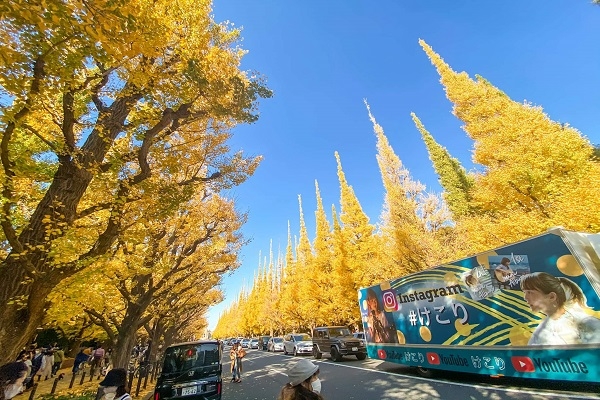 [2024] NHẬT BẢN MÙA LÁ ĐỎ 6N5Đ VJ OSAKA  – NARA - KYOTO - NÚI PHÚ SĨ - TOKYO