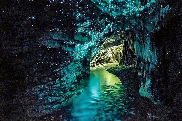 [2025] THƯỞNG NGOẠN NEW ZEALAND 11N10Đ SQ BẮC ĐẢO & NAM ĐẢO