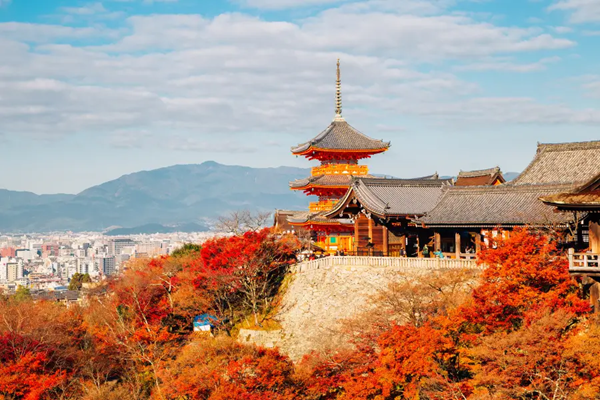 [2026] 6N5Đ VN TRẢI NGHIỆM MÙA THU NHẬT BẢN  OSAKA–KYOTO–PHÚ SĨ–TOKYO