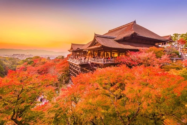 [2026] 6N5Đ VN CUNG ĐƯỜNG VÀNG NHẬT BẢN TOKYO-NÚI PHÚ SỸ-NAGOYA-KYOTO-OSAKA