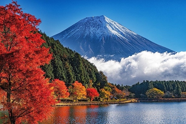 [2026] 7N6Đ JL HÀNH TRÌNH TRỌN VẸN NHỮNG SẮC MÀU NHẬT BẢN NIKKO – TOKYO – ENOSHIMA – YOKOHAMA