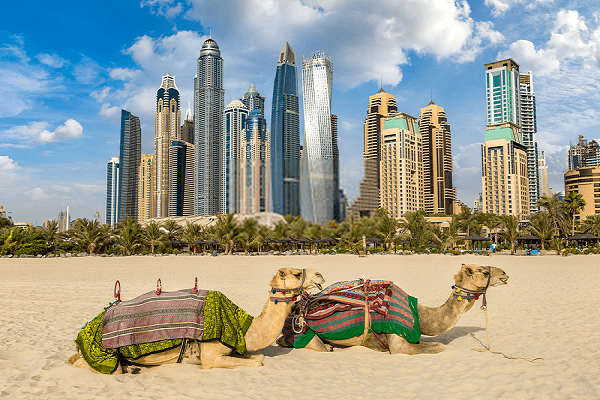 [2022] DUBAI - ABU DHABI 6N5D