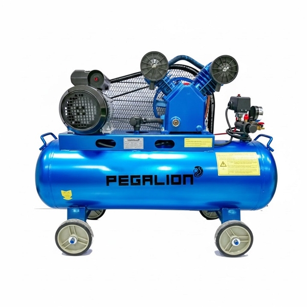 Máy Nén Khí Dây Đai Pegalion 120L TM-V-0.17/8-120L 2HP