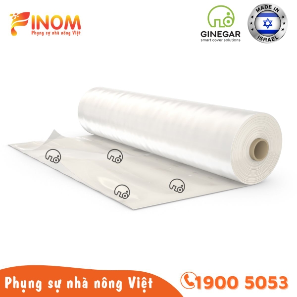 Màng lợp nhà kính 5 lớp Ginegar (Israel) khổ 4.2 mét