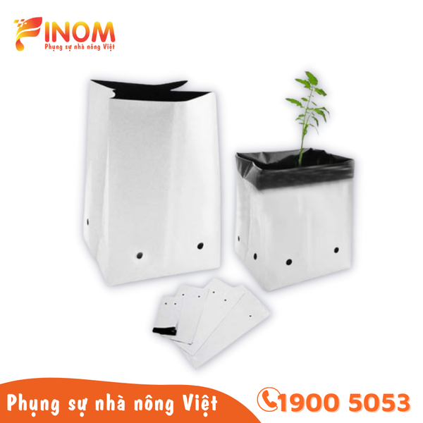 Túi PE trồng cây