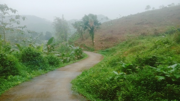 Bán khu đất rộng phù hợp làm trang trại ( đã bán )