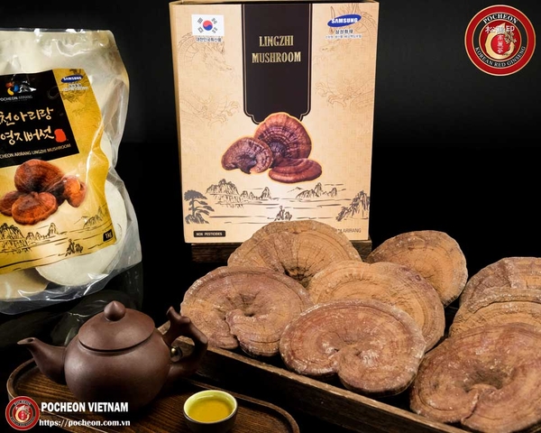 nam-linh-chi-han-quoc-pocheon-arirang-1kg