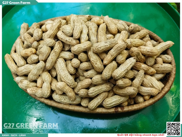 Đậu phộng tươi