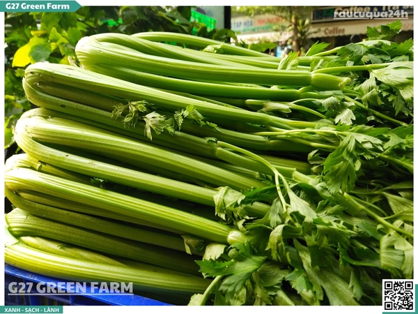 Cần Tây Đà Lạt (Bẹ lớn)