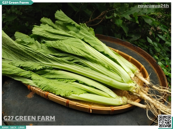 Cải bẹ xanh 300g