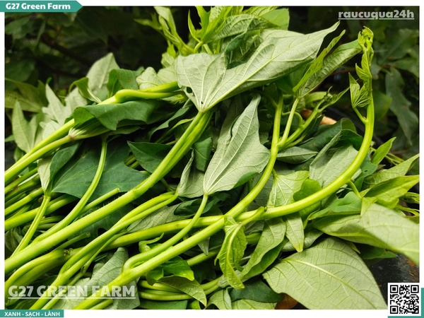 Ngọn rau lang 300g